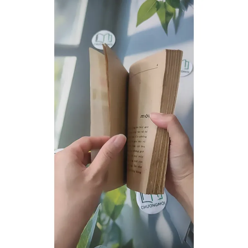 [XƯA] Cánh Bướm (1989) - Từ Kế Tường 997750