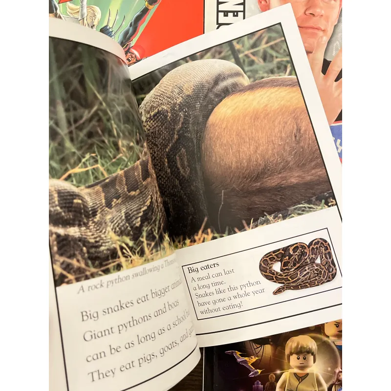 ✨𝑫𝑲 𝑹𝒆𝒂𝒅𝒆𝒓𝒔 4-𝑩𝒐𝒐𝒌 𝑺𝒆𝒕 (𝑳𝒆𝒗𝒆𝒍 2)✨ 780838