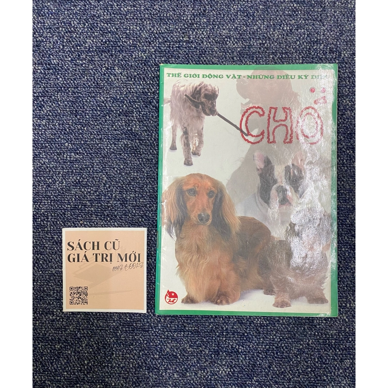 Chó - Thế giới động vật  537241