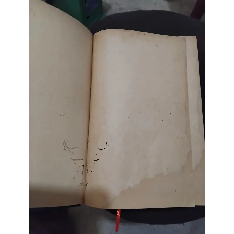 Hán Việt từ điển của Đào Duy Anh  999720