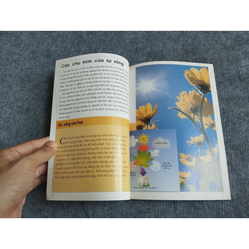 SỰ SỐNG TRÊN TRÁI ĐẤT 559728
