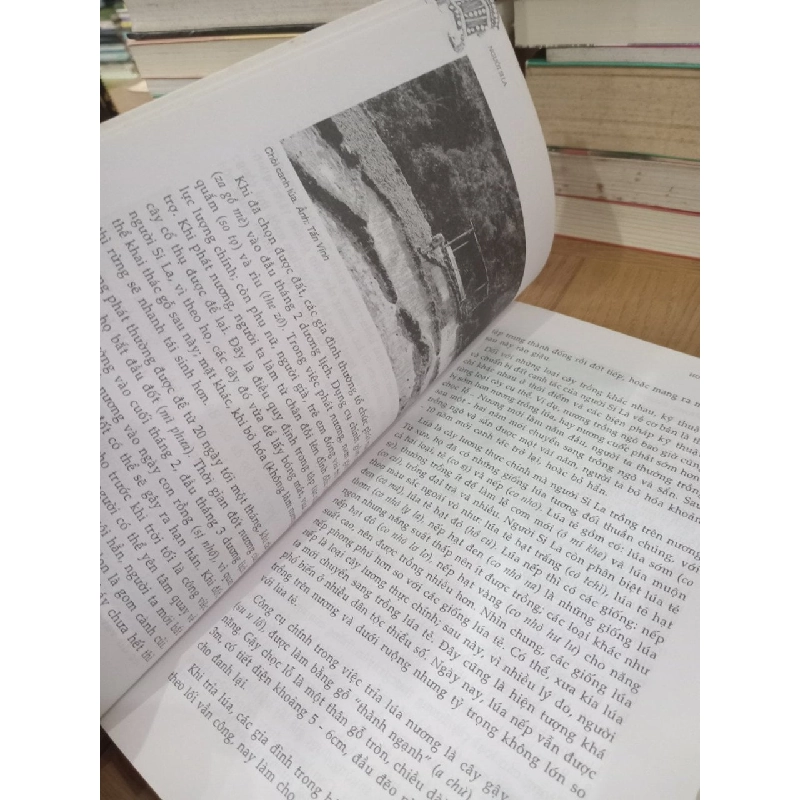 Người si la - Chu Thái Sơn chủ biên, TS. Mai Thanh Sơn 726492