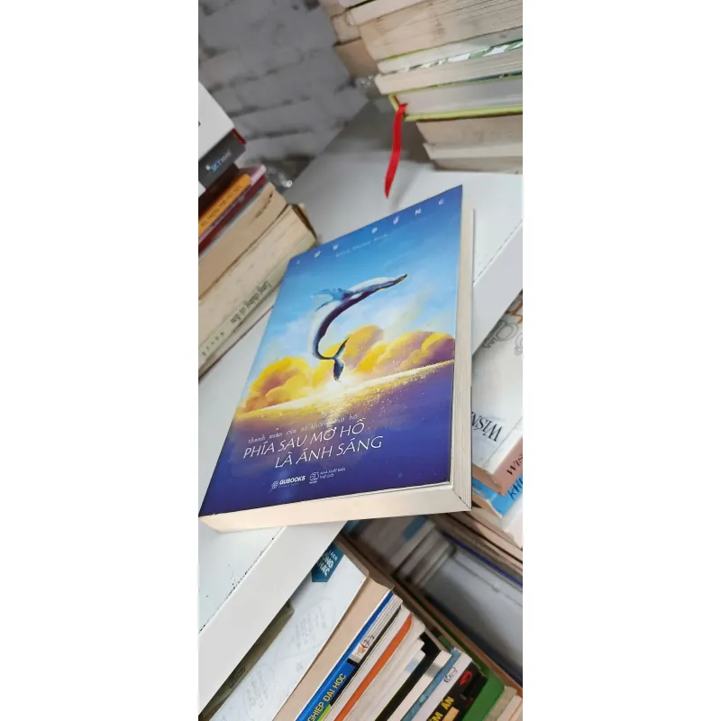 Thanh Xuân Của Ai Không Mơ Hồ - Phía Sau Mơ Hồ Là Ánh Sáng - Lưu Đồng, Mới 80% (NguyenN) 1008255