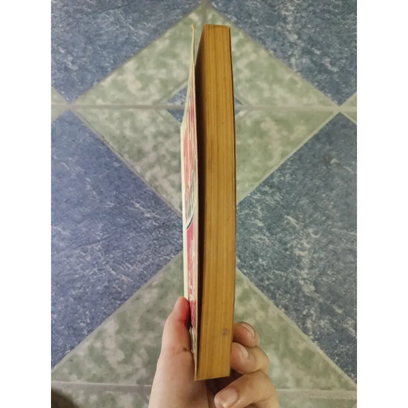 Sài Gòn năm xưa - Kỷ niệm 300 năm Sài Gòn-TP. Hồ Chí Minh - Vương Hồng Sển 712494