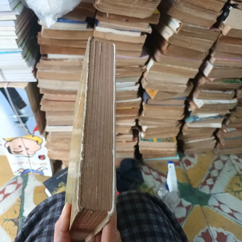 Từ Ngữ Văn Nôm - Nguyễn Thạch Giang 781775