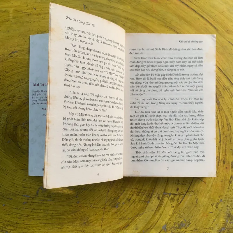 NẾU CHỈ LÀ THOÁNG QUA - MAI TỬ HOÀNG THỜI VŨ 991251