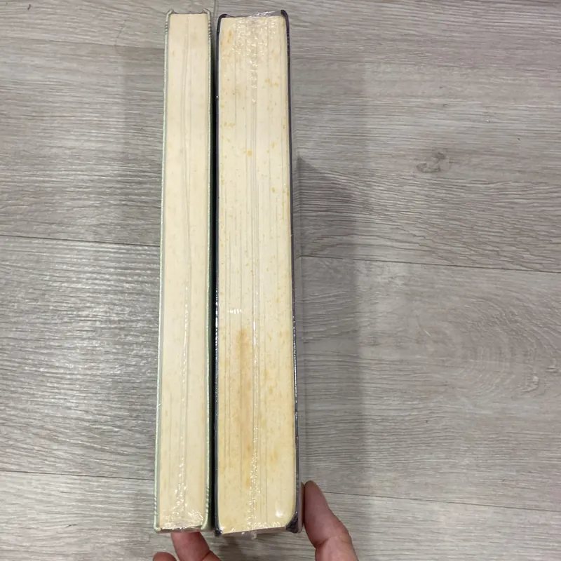 Câu chuyện phù sinh + Ngoại truyện phù sinh  713061