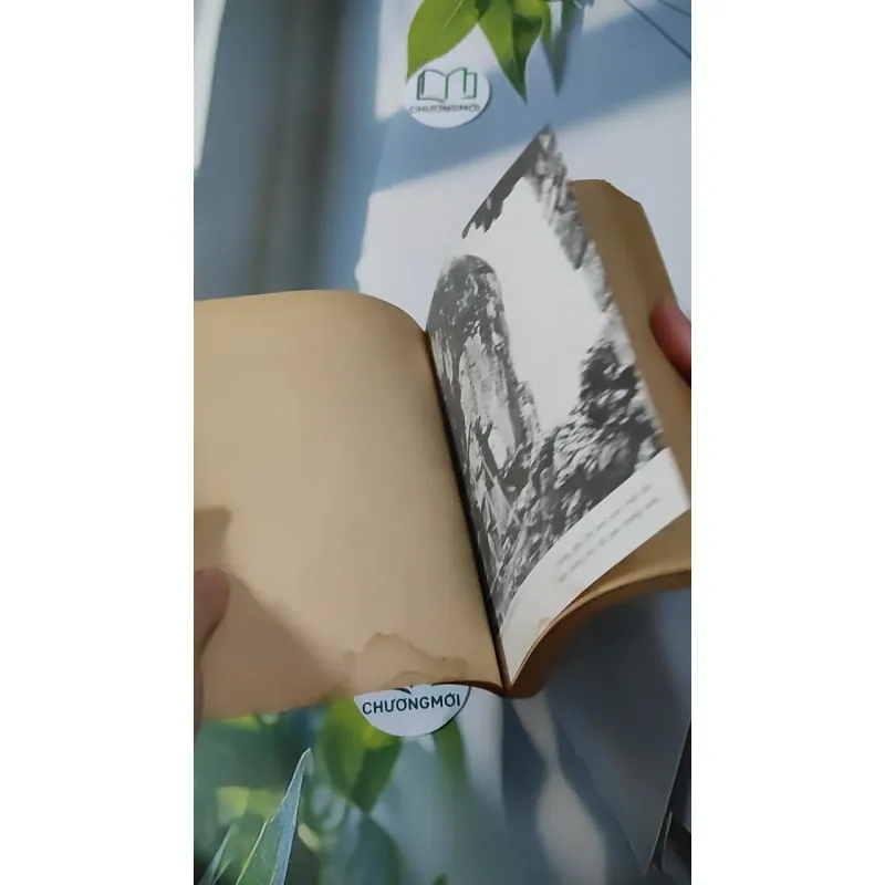 [MIỄN PHÍ BỌC SÁCH] [XƯA] [HIẾM] Cách Mạng Mùa Thu Và Giang Sơn Tuổi Trẻ (1992) 928583