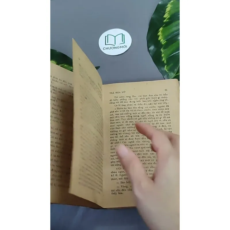 Trà Hoa Nữ 604659