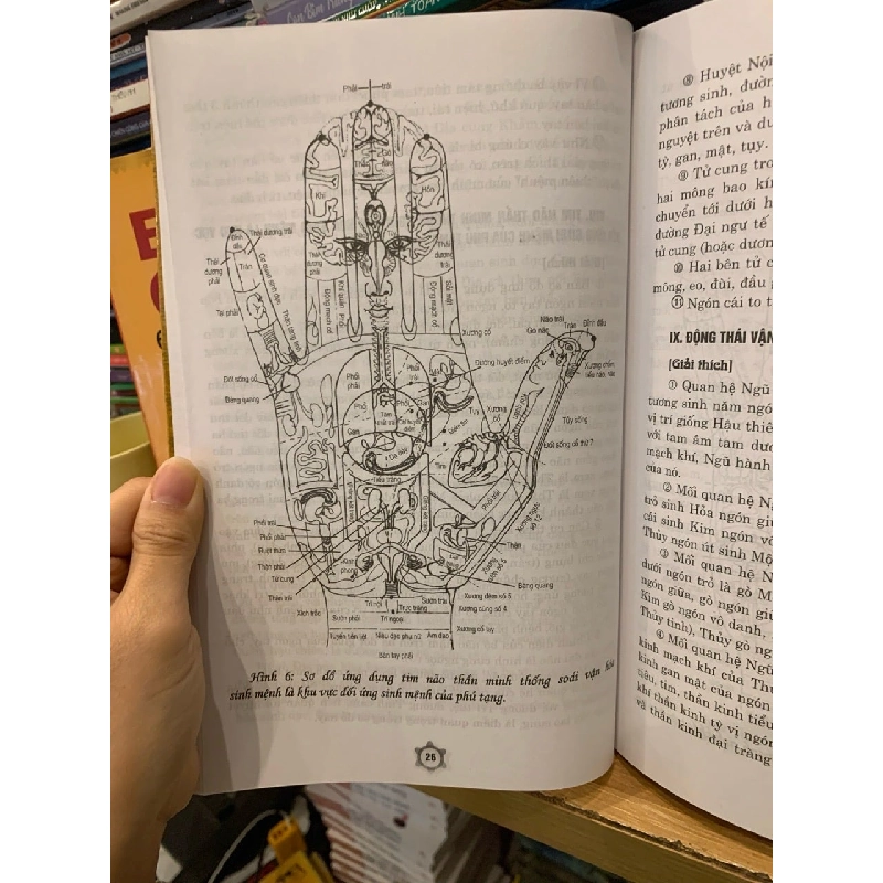 Mật mã vân bàn tay -Trần Đỉnh Long 786152