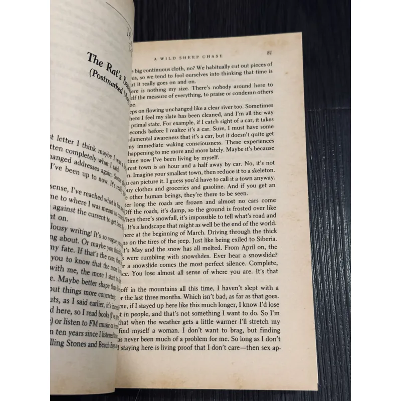 Combo 2 cuốn Haruki Murakami 590329