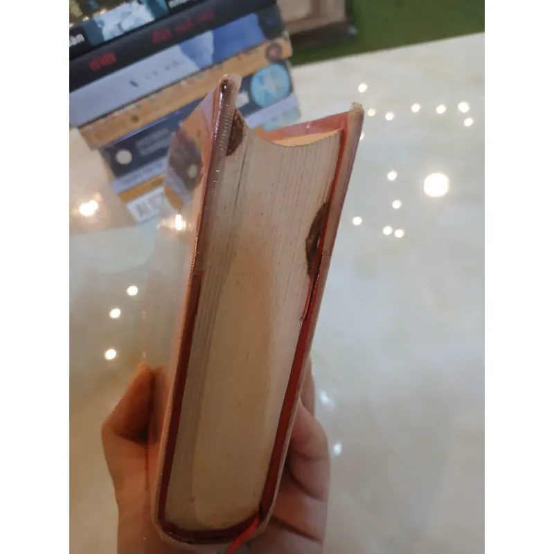 HỒ QUÝ LY (BÌA CỨNG) - NGUYỄN XUÂN KHÁNH  1032954