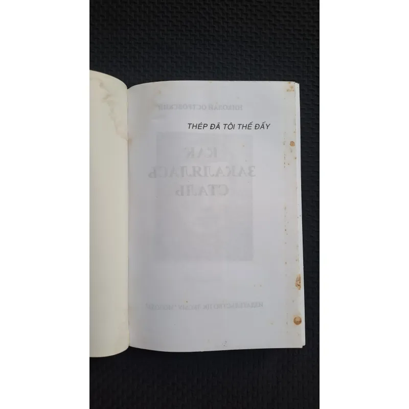 Thép đã tôi thế đấy - Nikolai A.Ostrovsky 745397