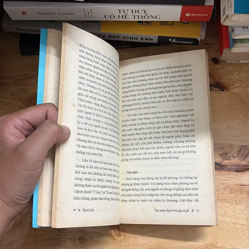 II Tựa sách: Hoa Xương Rồng Nở Trên Giày Cao Gót - Khánh Linh - 2015 695672