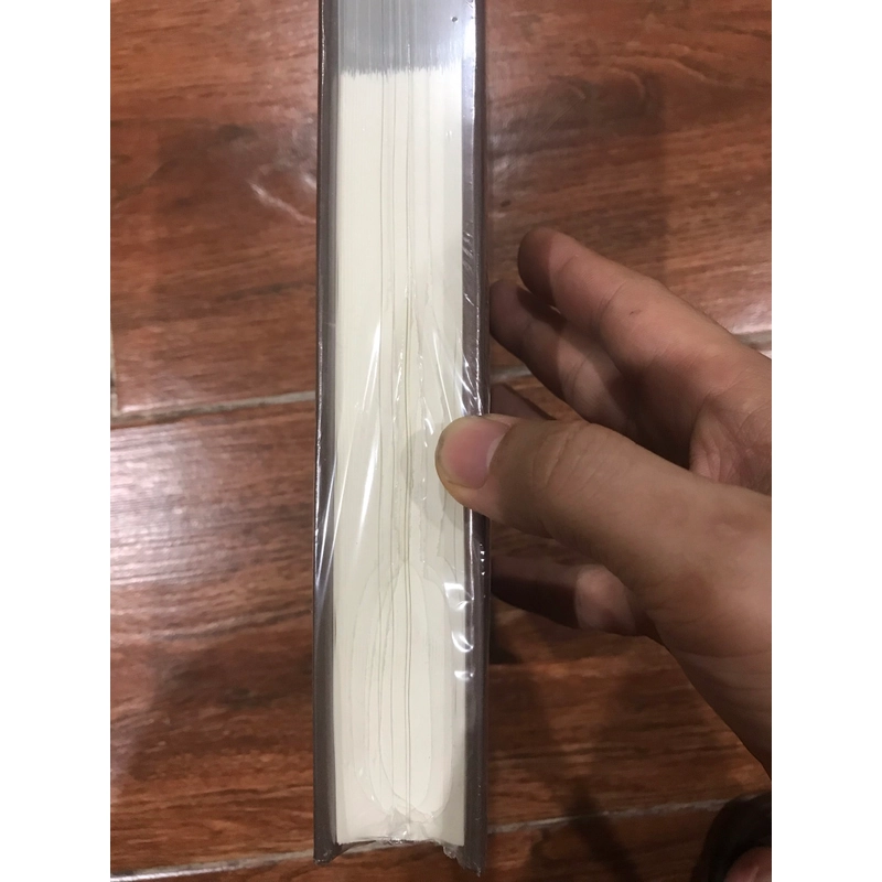 Việt Nam Sử Lược - Bản đặc biệt ( hở seal ở bụng sách) 538851