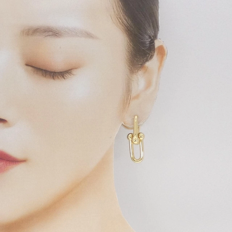 Bông tai lớn liên kết Tiffany Hardware - Hàng hiệu Authentic 844143