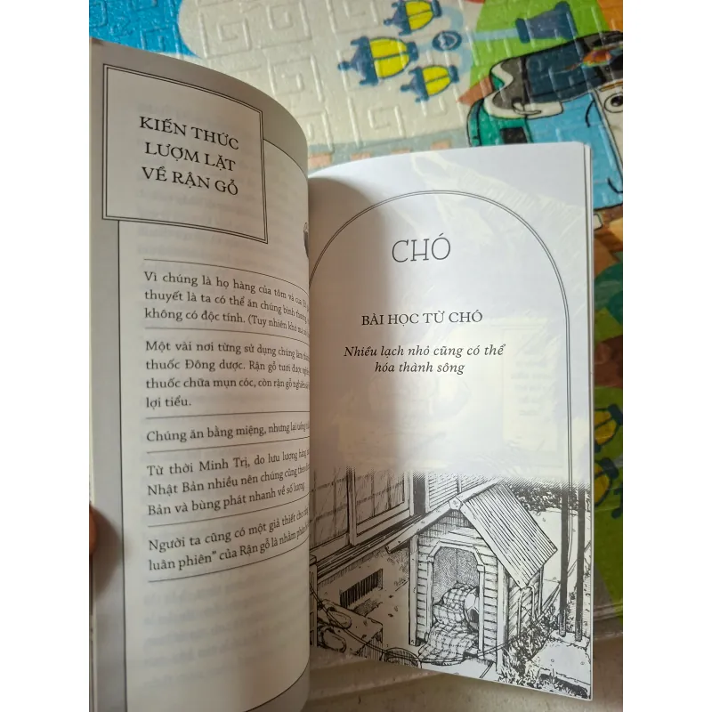 Muông Thú Dạy Ta Bài Học Cuộc Sống 797298