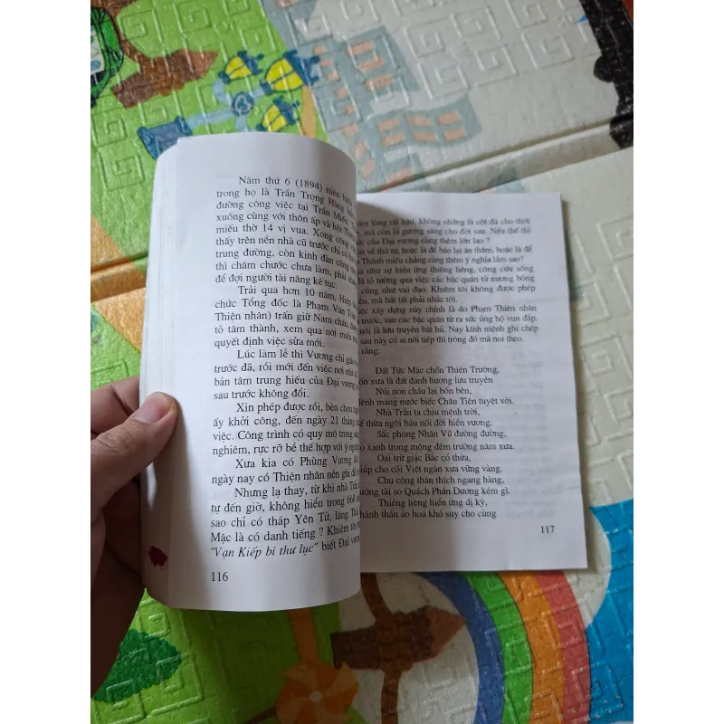 TRẦN MIẾU (Đền Trần - Nam Định), Di Sản Và Tín Ngưỡng Dân Gian 929540