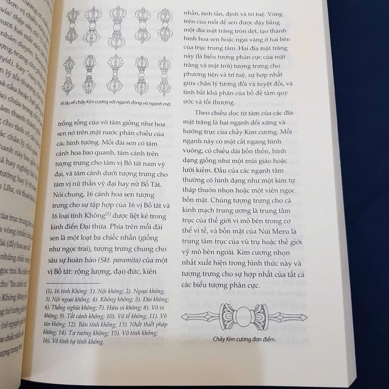 Các thành phố đang phát triển  419563