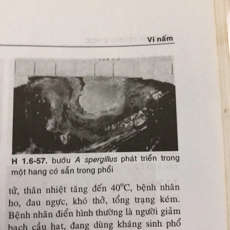 KÝ SINH TRÙNG Y HỌC  332731