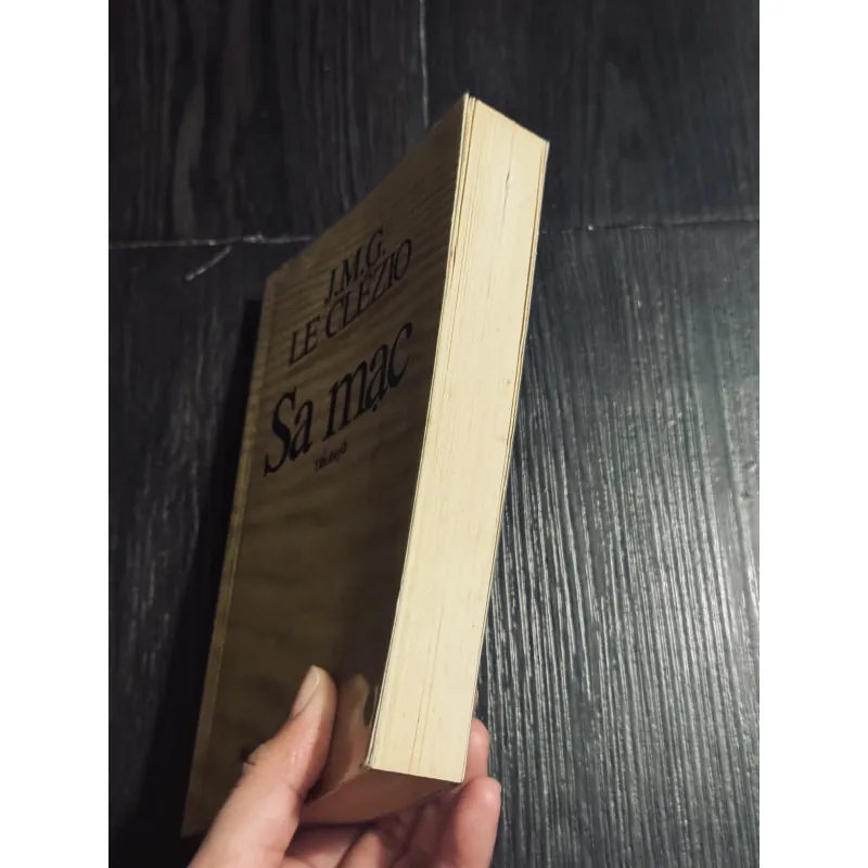 Sa mạc - Le Clezio 1022209