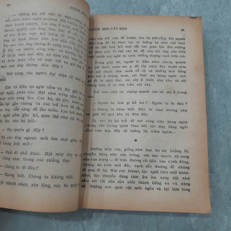 CHÙM NHO UẤT HẬN - VÕ LANG 783806