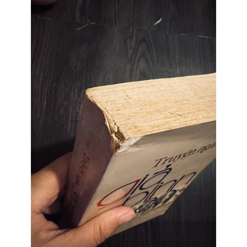 Truyện ngắn Giả Bình Ao 453979