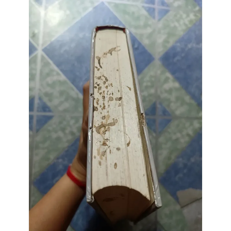 Từ điển nghệ thuật hát bội Việt Nam - Nguyễn Lộc 997350