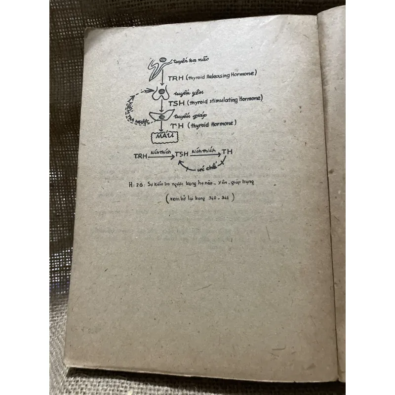 Nhi khoa - sách y -350 trang  799043