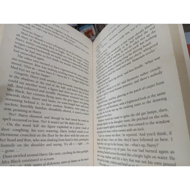 HARRY POTTER AND THE DEATHLY HALLOWS (HARRY POTTER VÀ BẢO BỐI TỬ THẦN) - J. K. ROWLING 996383