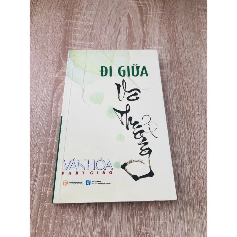 ĐI GIỮA VÔ THƯỜNG 1024381