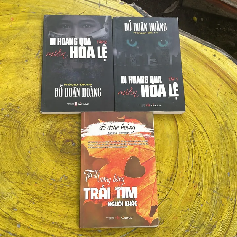 COMBO ĐỖ DOÃN HOÀNG: ĐI QUA MIỀN HOA LỆ ( full 2 tập ) & TÔI ĐÃ SỐNG BẰNG TRÁI TIM NGƯỜI K 738032