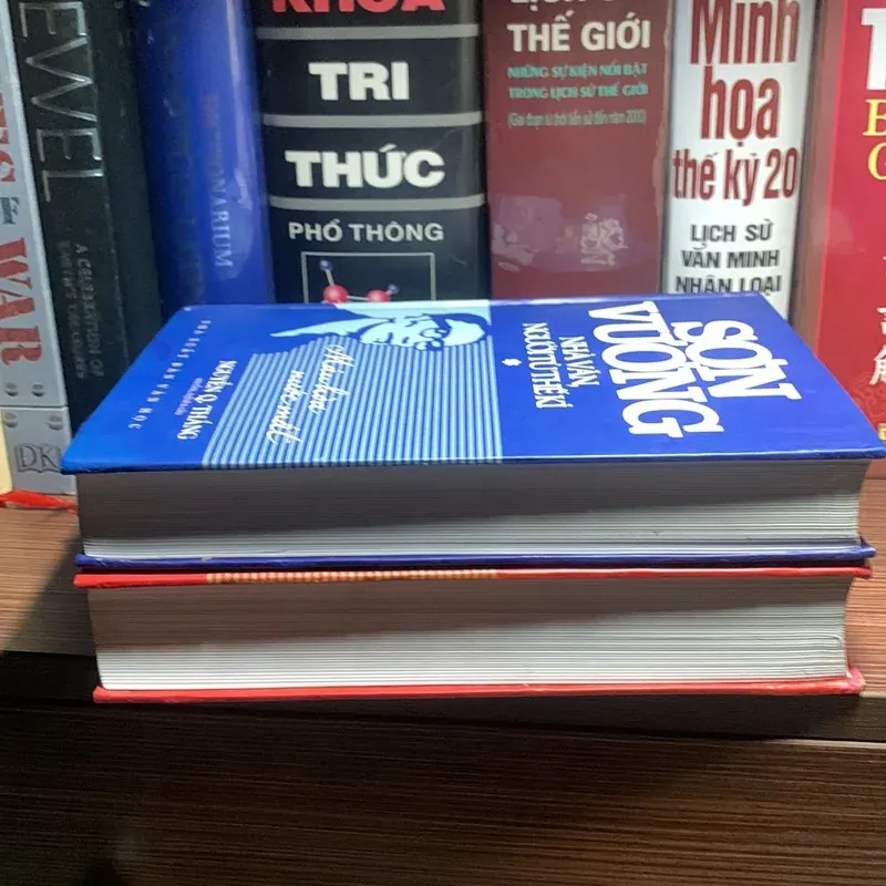 Sơn Vương - Nhà Văn, Người Tù Thế Kỷ (Bộ 2 Cuốn) 1024243