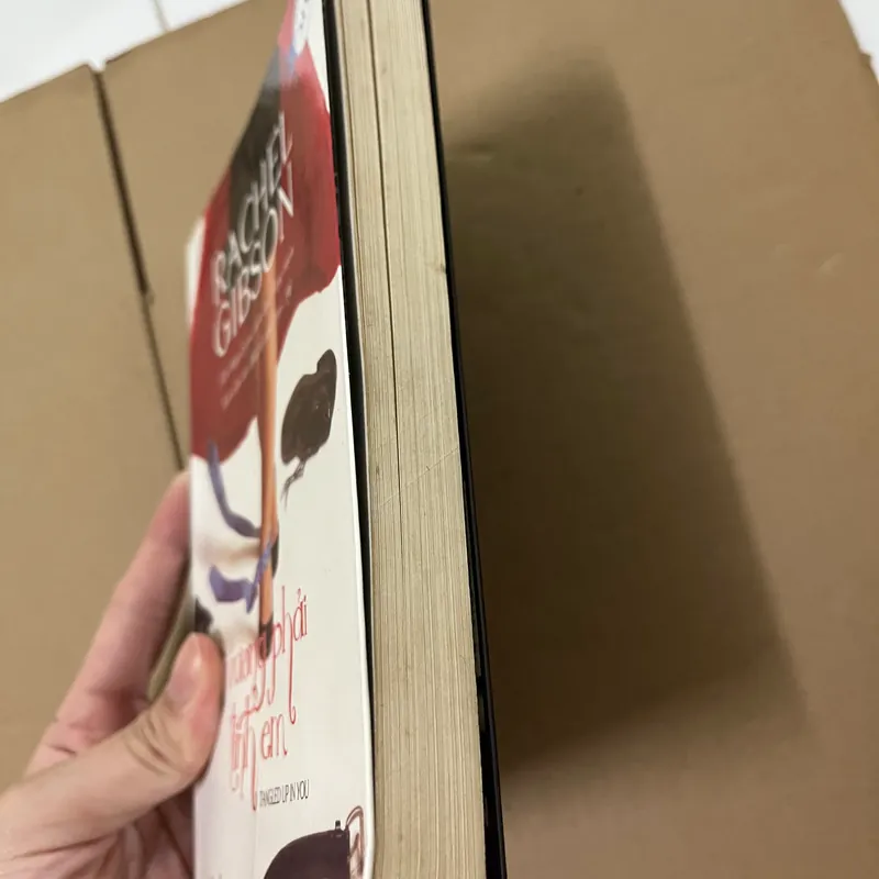 Vương phải tình em 562970