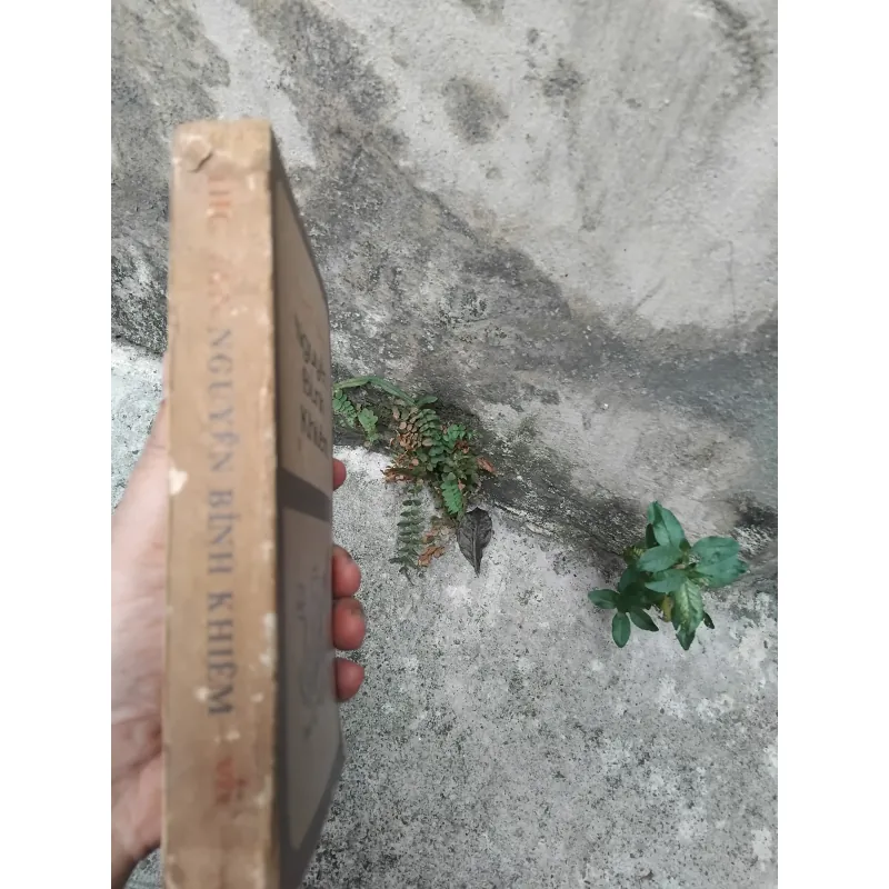 Thơ văn Nguyễn Bỉnh Khiêm  1022819