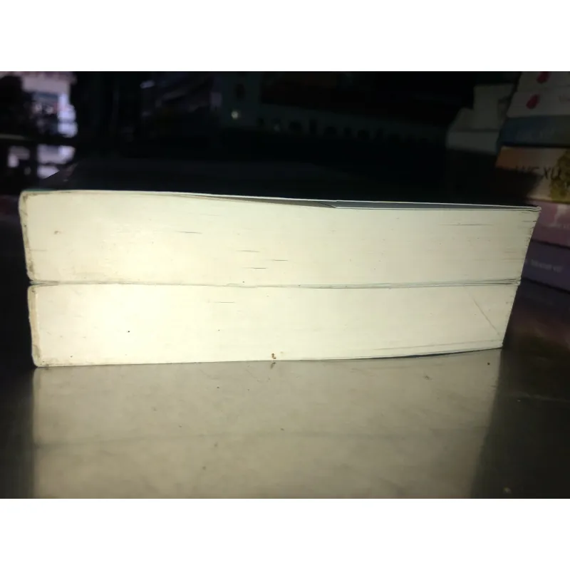 Gió nam hiểu lòng tôi - Ngô Đồng Tư Ngữ 975118