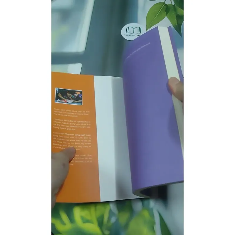 [MIỄN PHÍ BỌC SÁCH] Dạy Con Song Ngữ - ThS Trần Lan Hương 727373