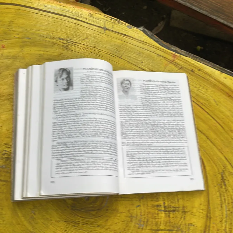 NHÀ VĂN VIỆT NAM HIỆN ĐẠI - BÌA MỀM 736274