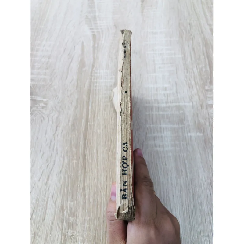 BẢN HỢP CA 1985 961417