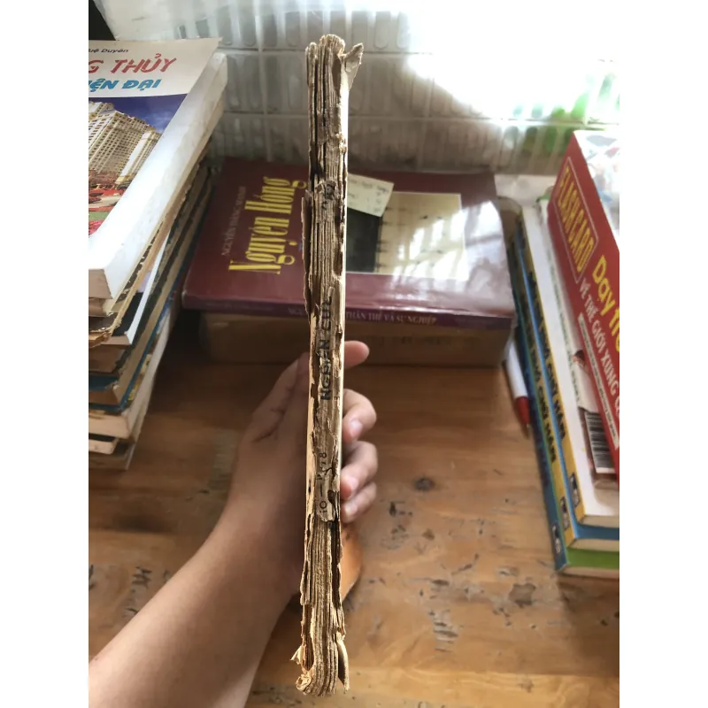 Nghiên cứu lịch sử 1020398