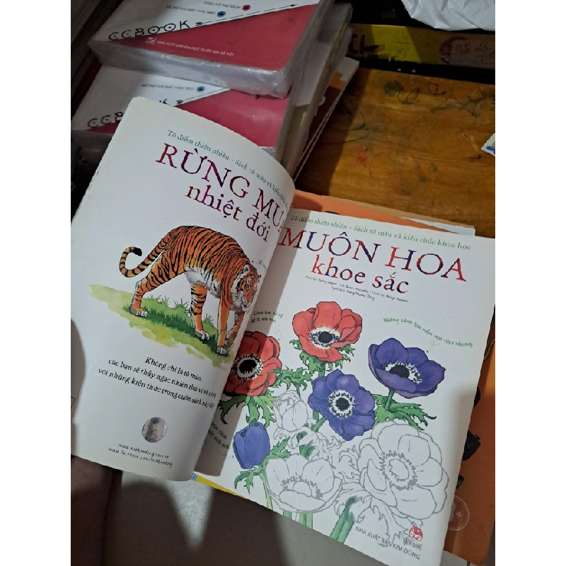 Rừng mưa nhiệt đới sách tô màu và kiến thức khoa học mới 90% HCM0808 MẸ VÀ BÉ 527167