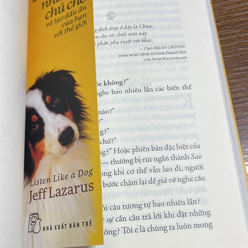 Lắng nghe như một chú chó Jeff Lazarus 504814