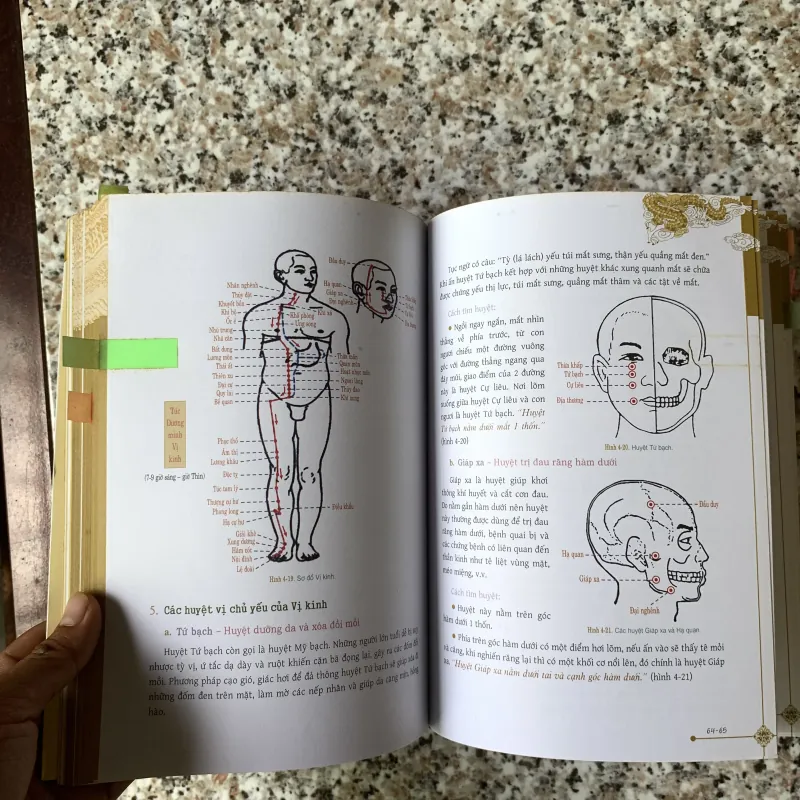 Cẩm nang dưỡng sinh thông kinh lạc 1004115