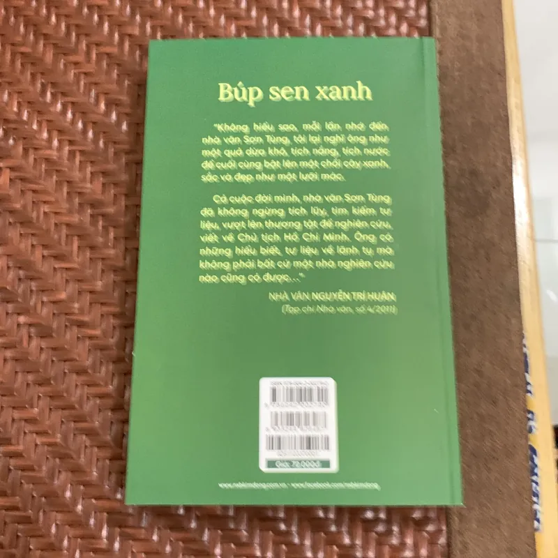 Búp sen xanh 1050901