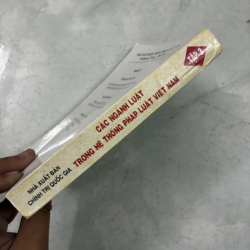 Các ngành luật trong hệ thống pháp luật Việt Nam (Tập 3) 1010113
