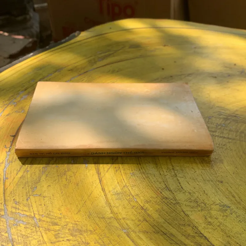 DANH NGÔN THẾ GIỚI SONG NGỮ - VƯƠNG TRUNG HIẾU  797284