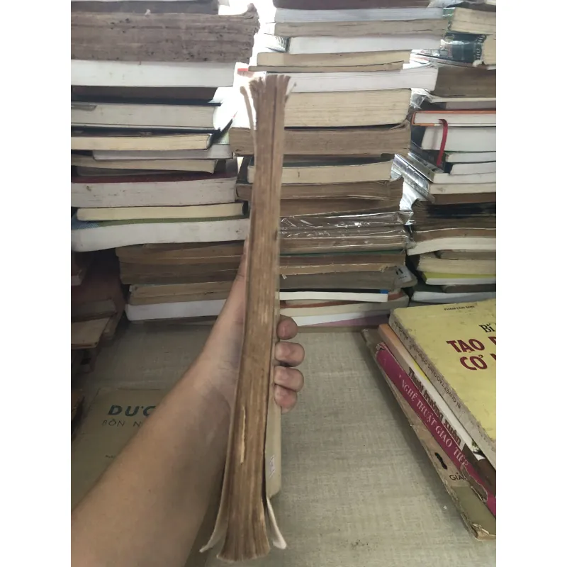 Thất chơn nhơn quả 995104