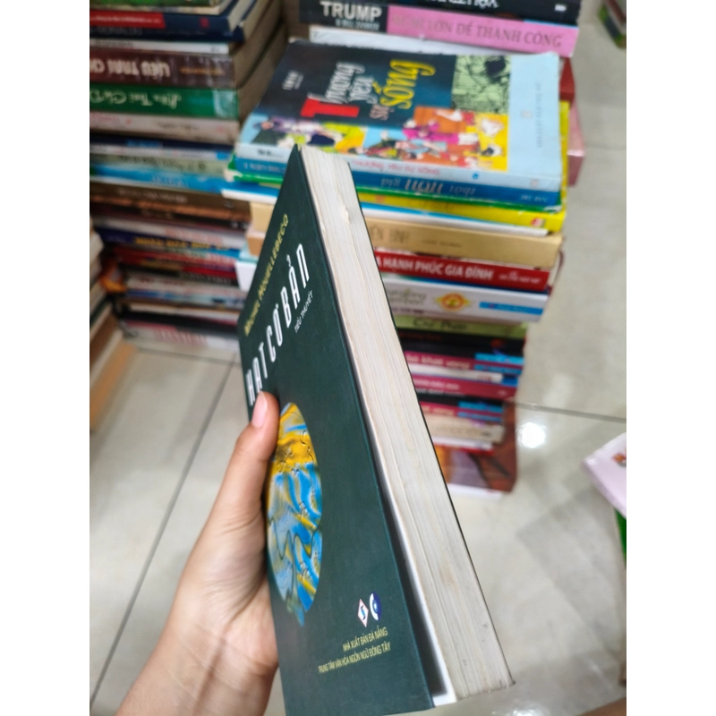 Hạt cơ bản 🌱 507330