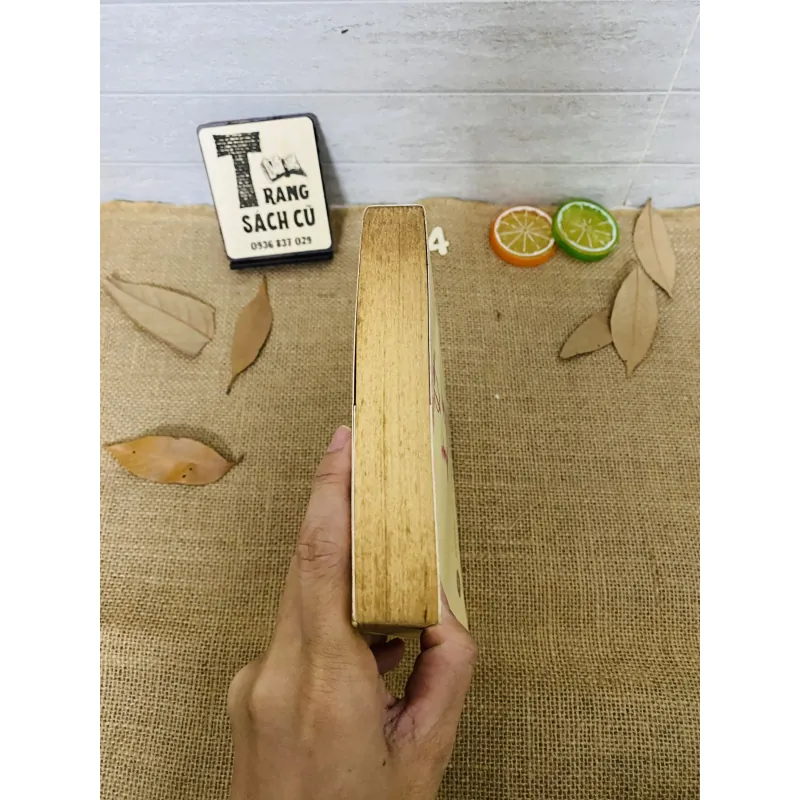 Chân trời góc bể 1012899