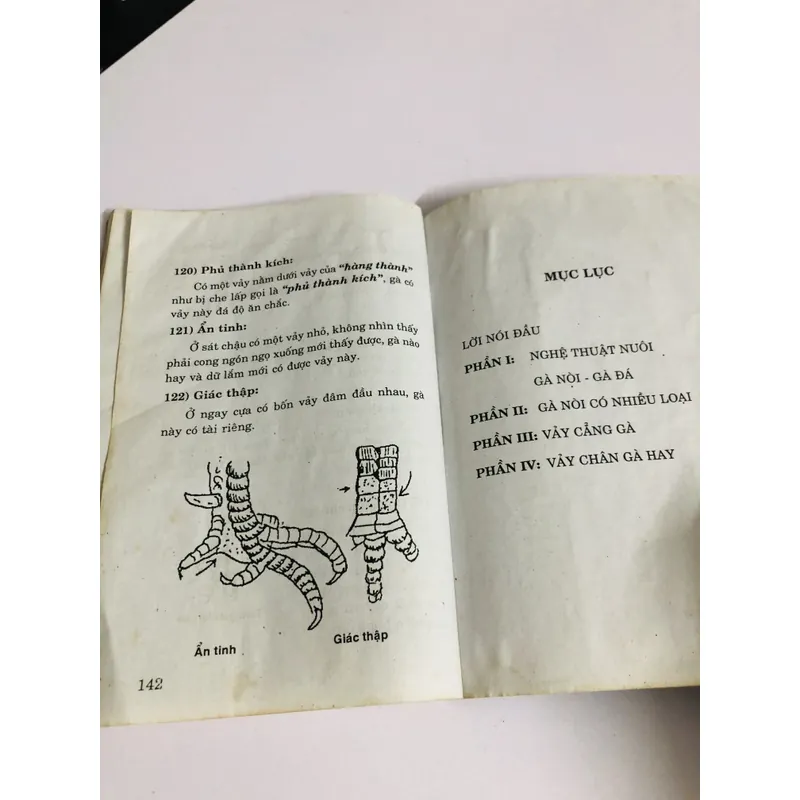 BÍ QUYẾT NUÔI GÀ NÒI THÚ ĐÁ GÀ 726843